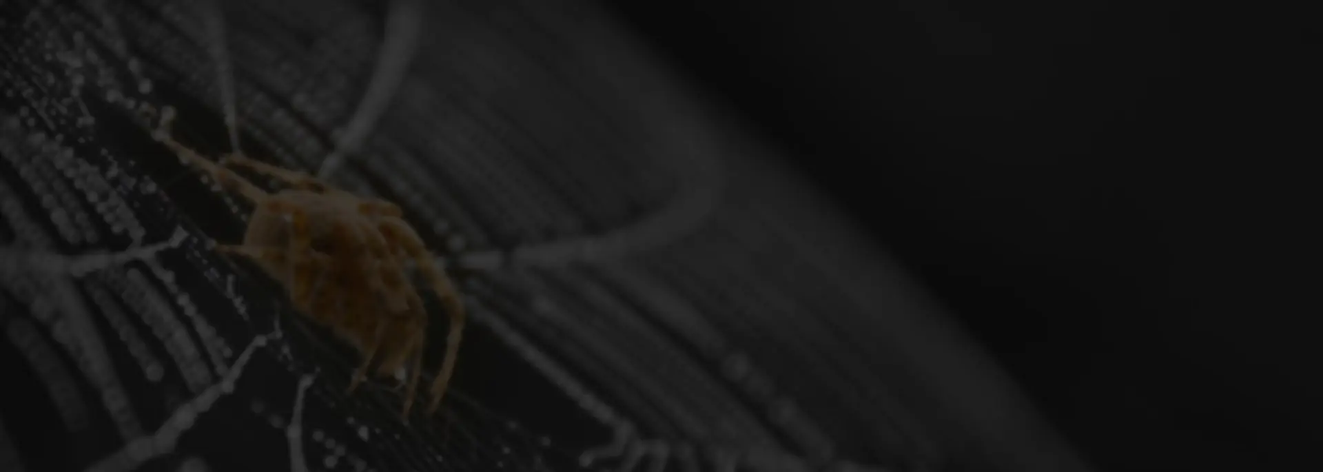 Acquire more precise customers